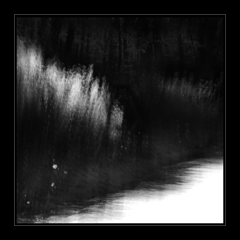 Na vlně ticha...VII