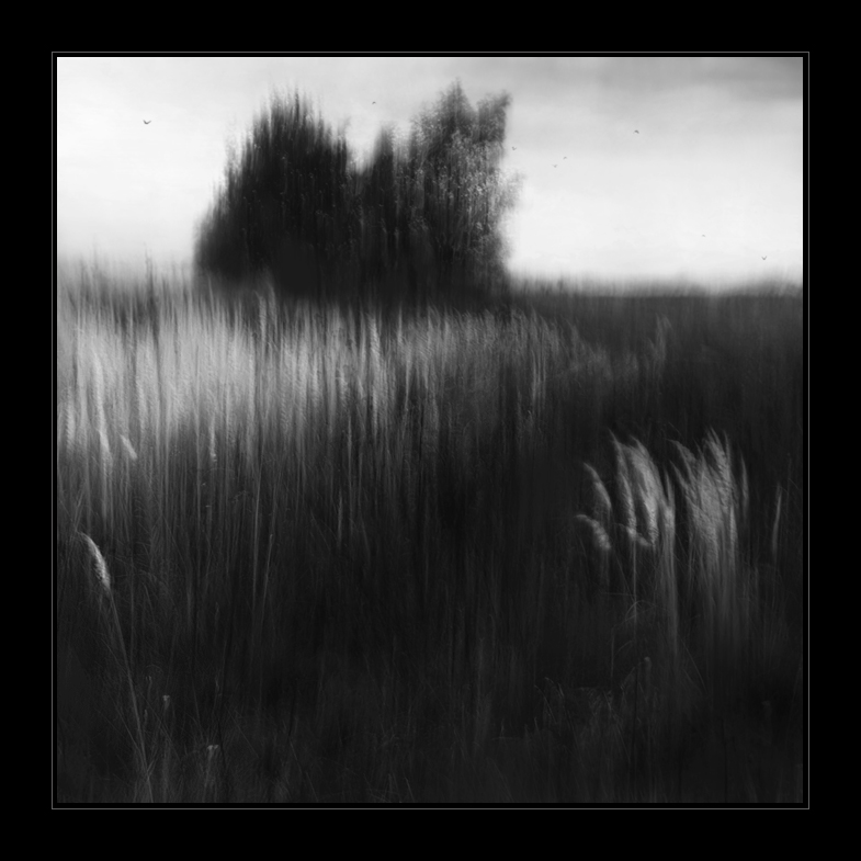 Na vlně ticha...VIII